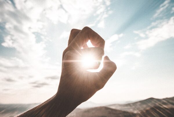 Sinergia De Las Vitaminas E Y D3 Con Los Omega-3